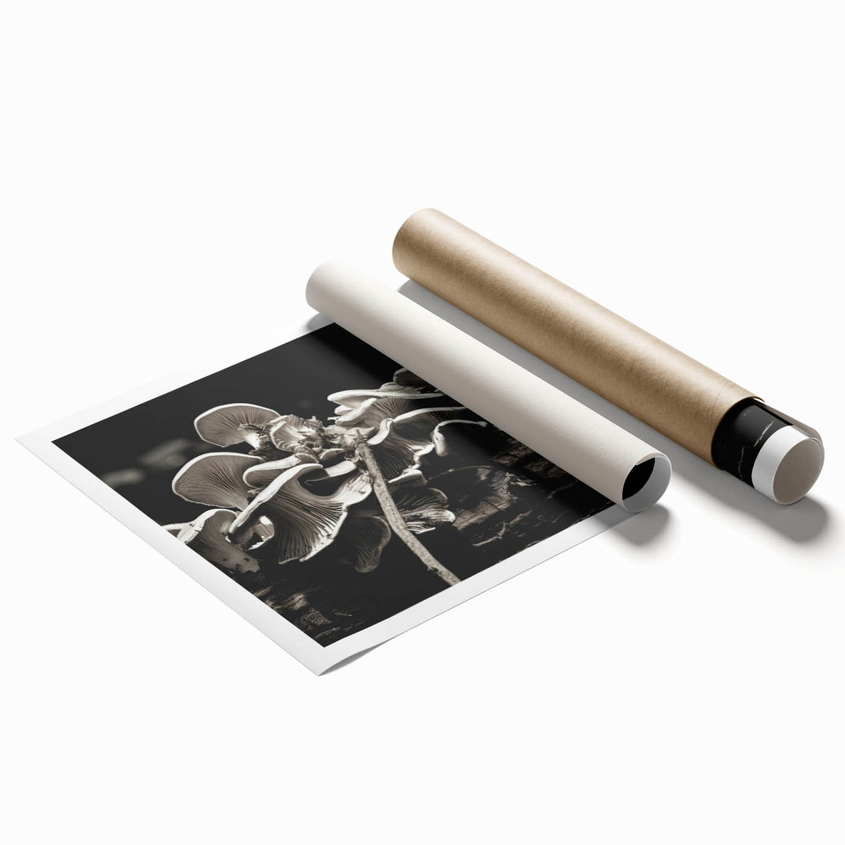 Botanical wall art print showcasing vibrant flowers and mushrooms in a colorful design, rolled and ready for framing, perfect for nature-inspired home decor.