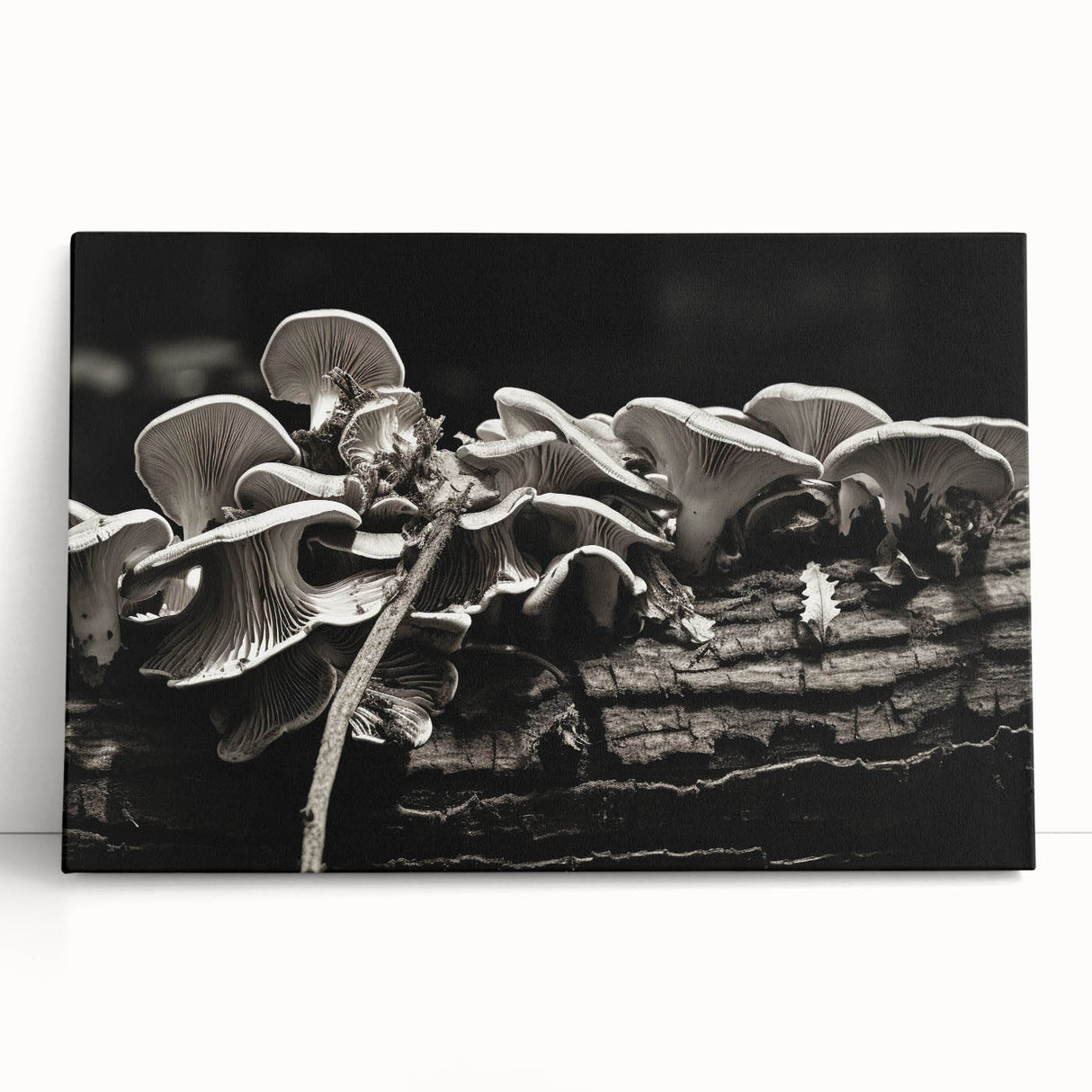 Botanical wall art design featuring vibrant flowers and mushrooms on a stretched canvas, perfect for adding a nature-inspired touch to home decor.