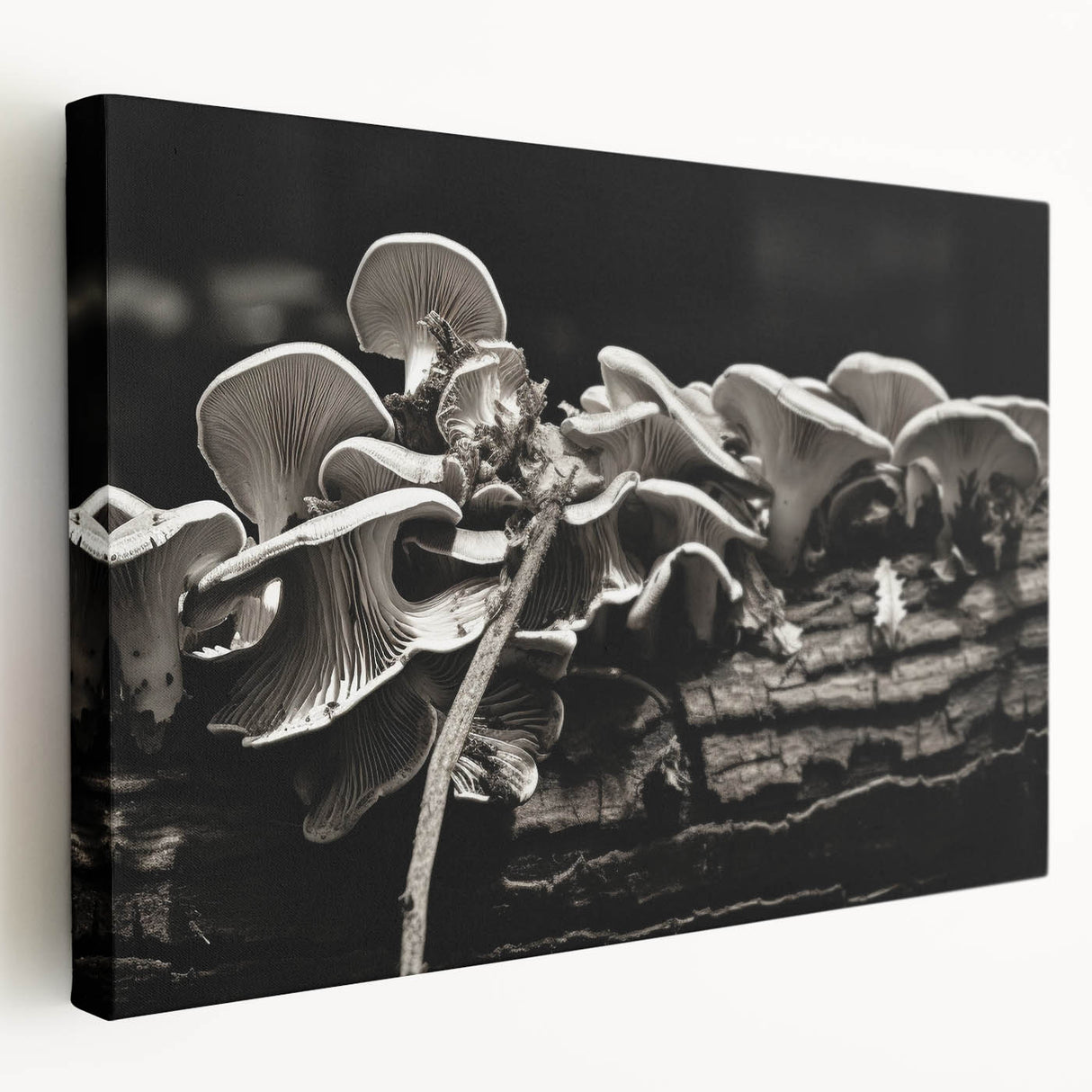 Stretched canvas wall art showcasing a vibrant botanical design featuring colorful flowers and mushrooms, presented in a side view with a textured finish. Perfect for adding a natural touch to home decor.