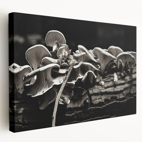 Stretched canvas wall art showcasing a vibrant botanical design featuring colorful flowers and mushrooms, presented in a side view with a textured finish. Perfect for adding a natural touch to home decor.