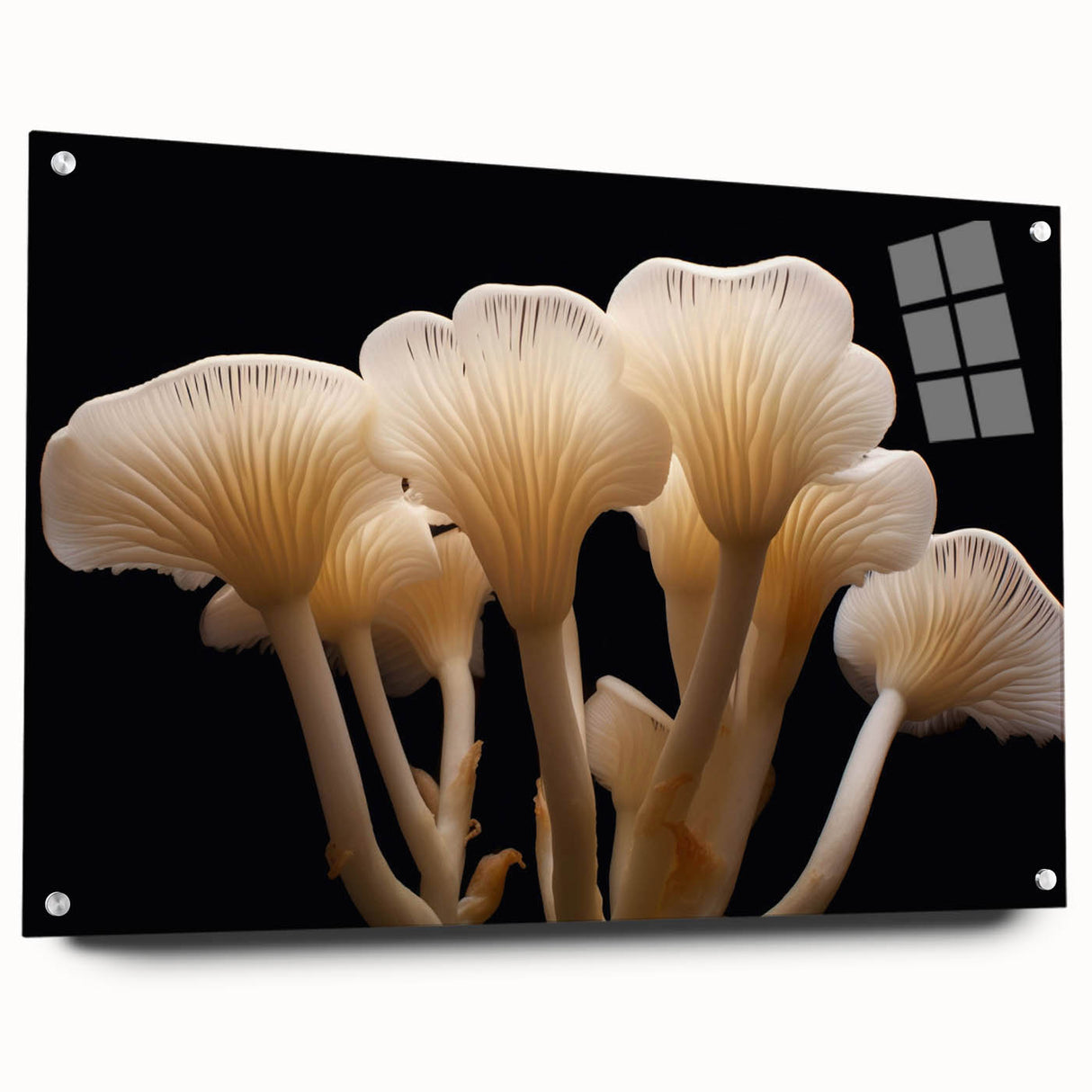 Acrylic glass wall art showcasing a vibrant botanical design featuring colorful flowers and mushrooms, displayed from a side view with pins for mounting.