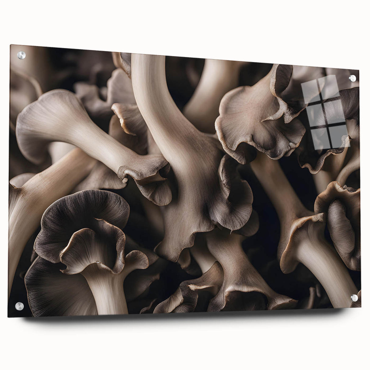 Side view of a botanical wall art collection featuring colorful flowers and mushrooms, displayed in an acrylic glass frame with decorative pins, perfect for modern decor.