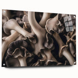 Side view of a botanical wall art collection featuring colorful flowers and mushrooms, displayed in an acrylic glass frame with decorative pins, perfect for modern decor.