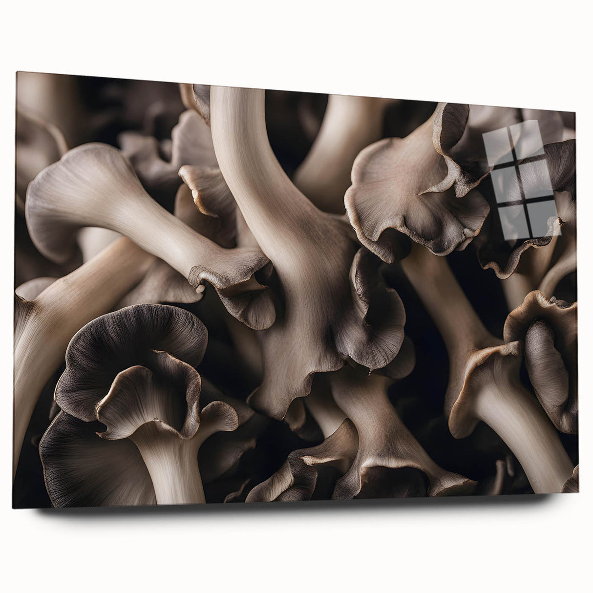 Botanical wall art collection showcasing vibrant flowers and intricate mushrooms design, displayed in an acrylic glass frame from a side view, ideal for home decor.