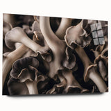 Botanical wall art collection showcasing vibrant flowers and intricate mushrooms design, displayed in an acrylic glass frame from a side view, ideal for home decor.