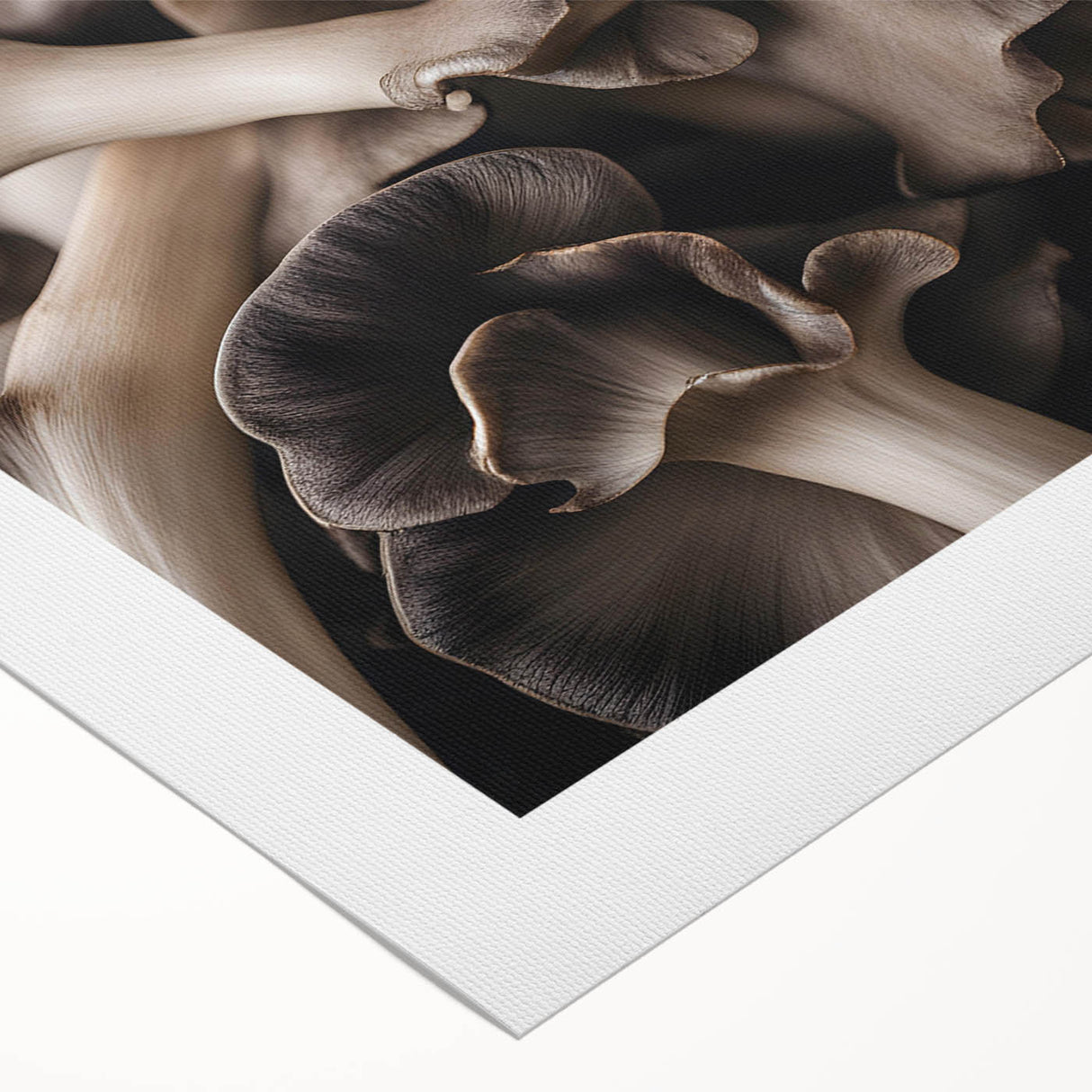 Botanical wall art featuring a vibrant collection of flowers and mushrooms, printed on rolled canvas with a textured finish, perfect for home decor.