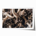 Botanical wall art print showcasing a vibrant floral and mushroom design, elegantly rolled for easy display. Perfect for nature-inspired decor.