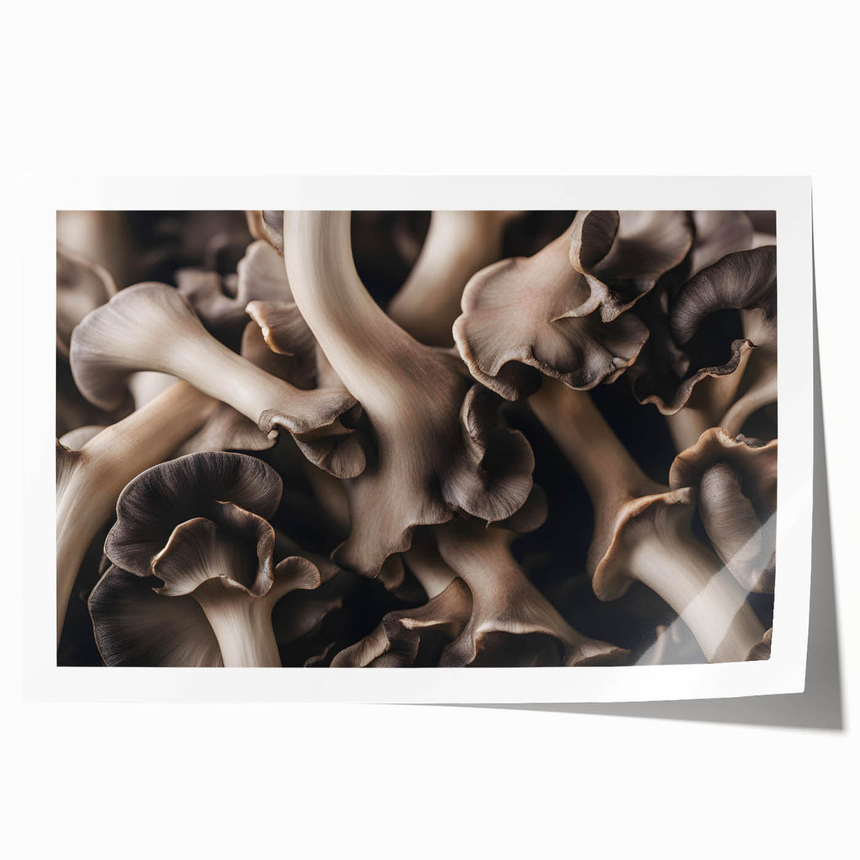 Botanical wall art print showcasing a vibrant floral and mushroom design, elegantly rolled for easy display. Perfect for nature-inspired decor.