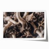 Botanical wall art print showcasing a vibrant floral and mushroom design, elegantly rolled for easy display. Perfect for nature-inspired decor.