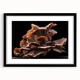 Framed botanical wall art showcasing vibrant flowers and mushrooms against a sleek black background, perfect for adding a touch of nature-inspired elegance to any decor.