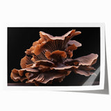 Botanical wall art print showcasing vibrant flowers and intricate mushroom designs, rolled and packaged in a protective cardboard tube, perfect for home decor.