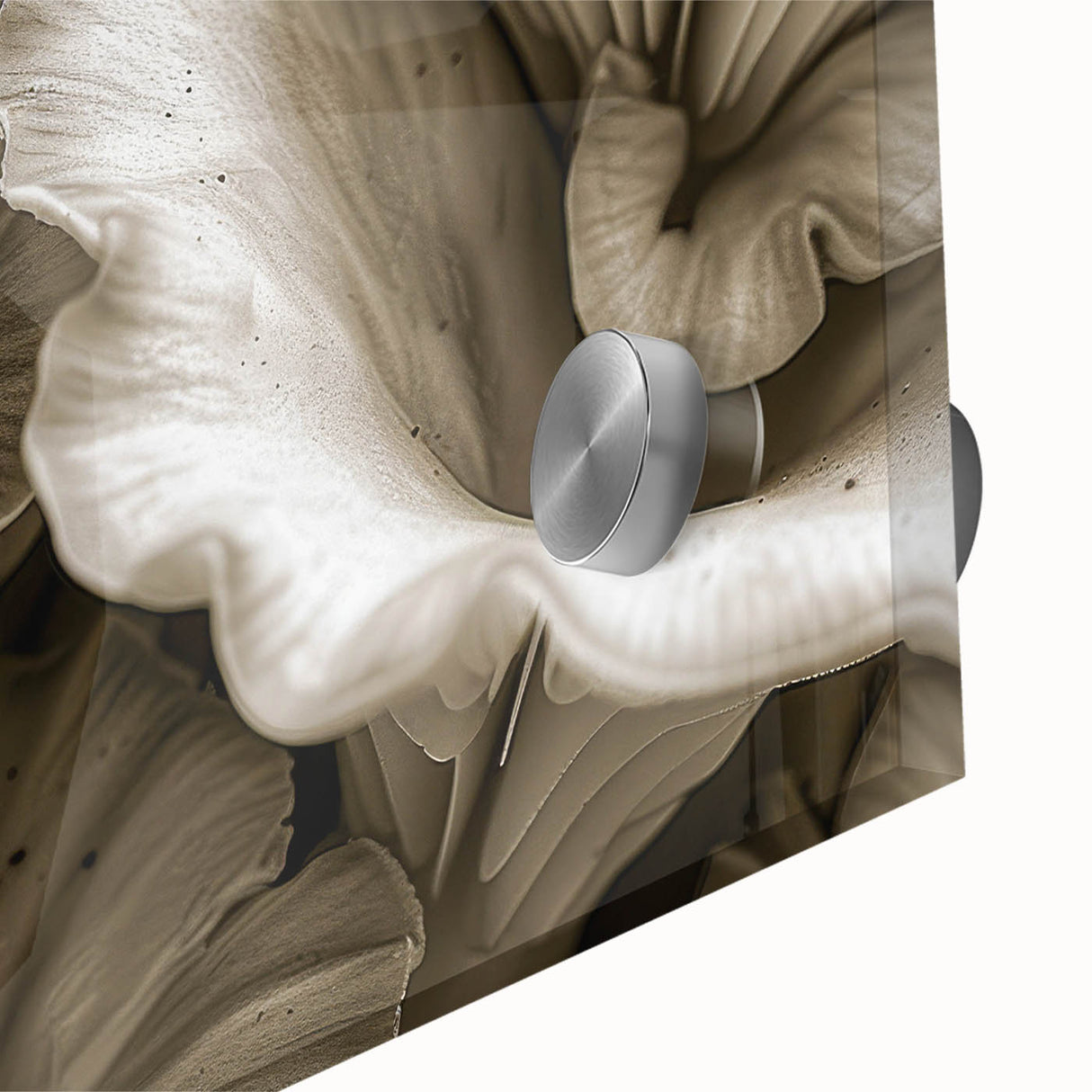 Close-up of vibrant botanical wall art featuring colorful flowers and mushrooms design on acrylic glass, ideal for modern home decor and nature lovers.