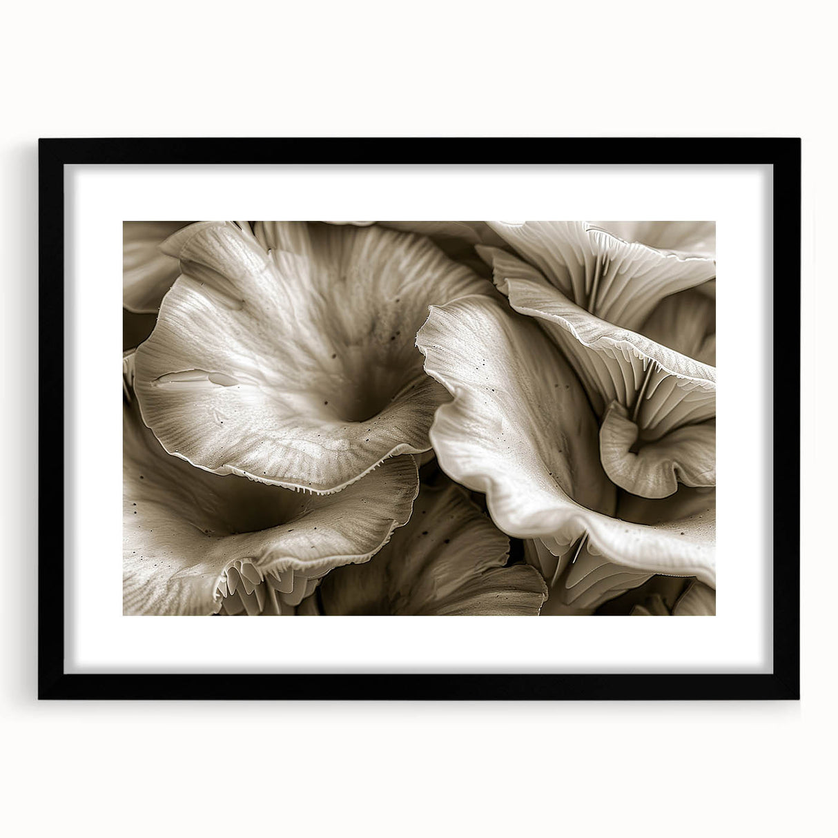 Botanical wall art collection featuring vibrant flowers and mushrooms design, framed with a sleek black mat, ideal for home decor enhancement.