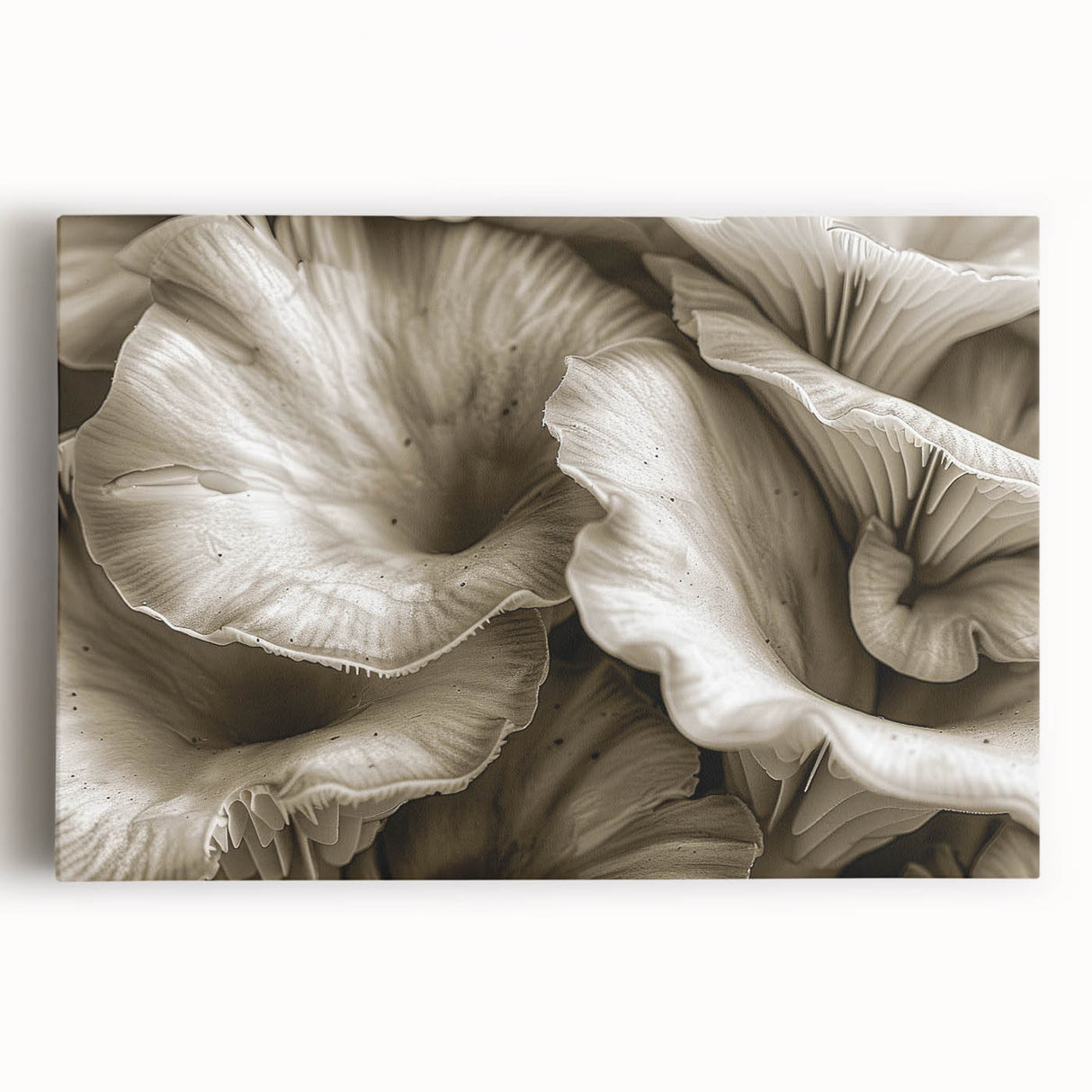 Botanical wall art featuring colorful flowers and mushrooms on stretched canvas, showcasing intricate details and vibrant hues, perfect for home decor.
