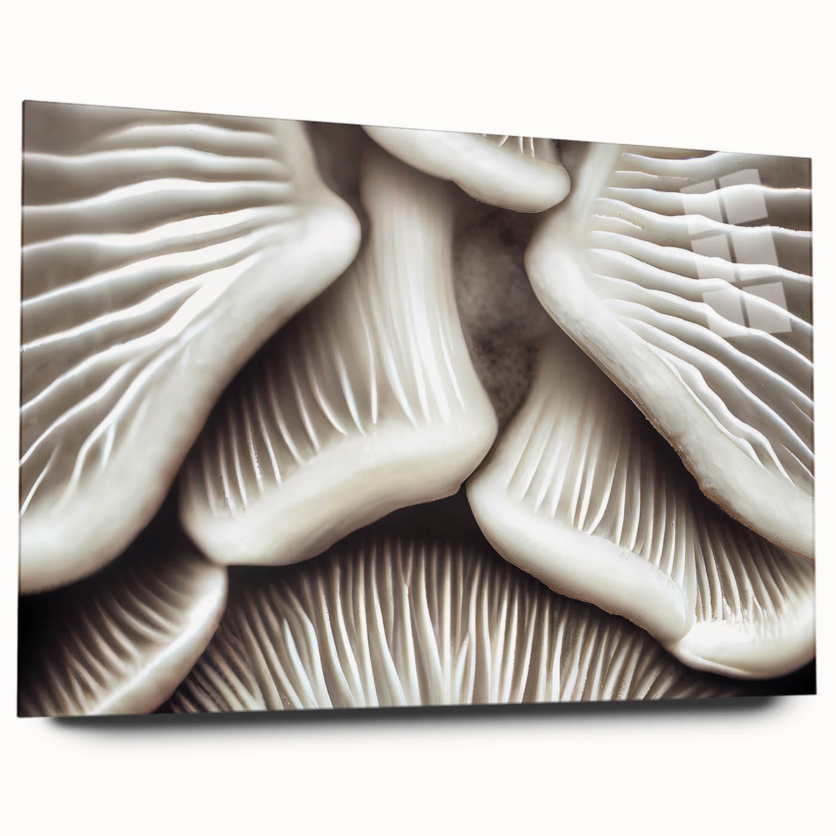 Botanical-inspired wall art featuring a vibrant collection of flowers and mushrooms, displayed in an elegant acrylic glass frame, showcasing intricate details and colors.