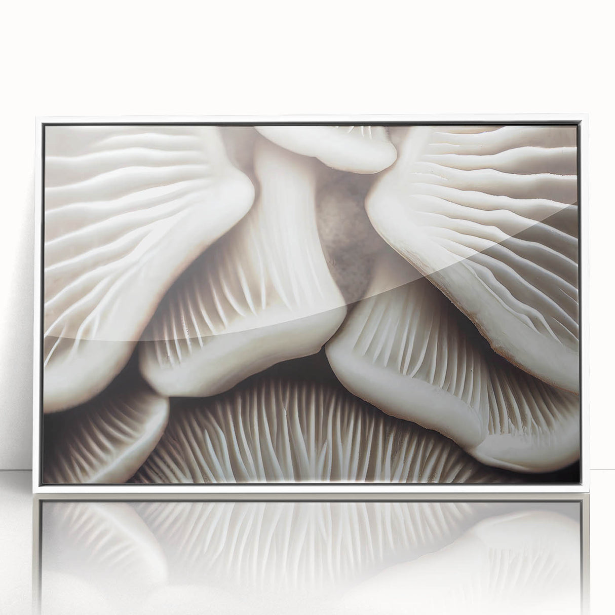 Framed wall art collection featuring a vibrant botanical design of colorful flowers and mushrooms set against a white background, enhancing any modern decor.