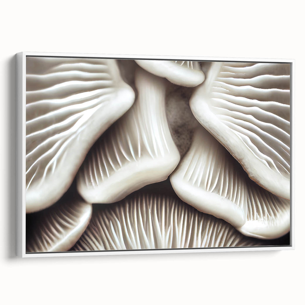 Framed wall art collection showcasing a botanical design featuring colorful flowers and mushrooms on a white canvas, elegantly displayed from a side view.