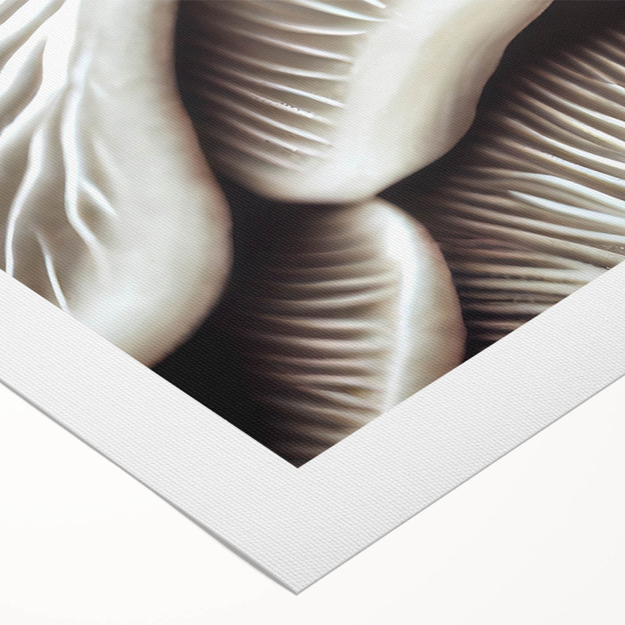 Colorful botanical wall art featuring various mushrooms against a textured background, presented as a rolled canvas for easy display and storage.