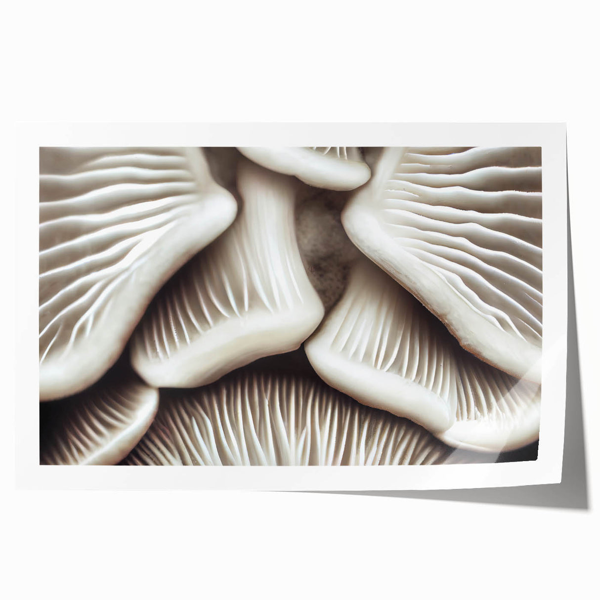 Botanical wall art print showcasing a vibrant floral and mushroom design, rolled for easy shipping and display. Ideal for nature-themed decor enthusiasts.
