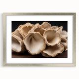 Framed botanical wall art collection featuring vibrant flowers and mushrooms, elegantly displayed in a silver frame with a mat, ideal for home decor.