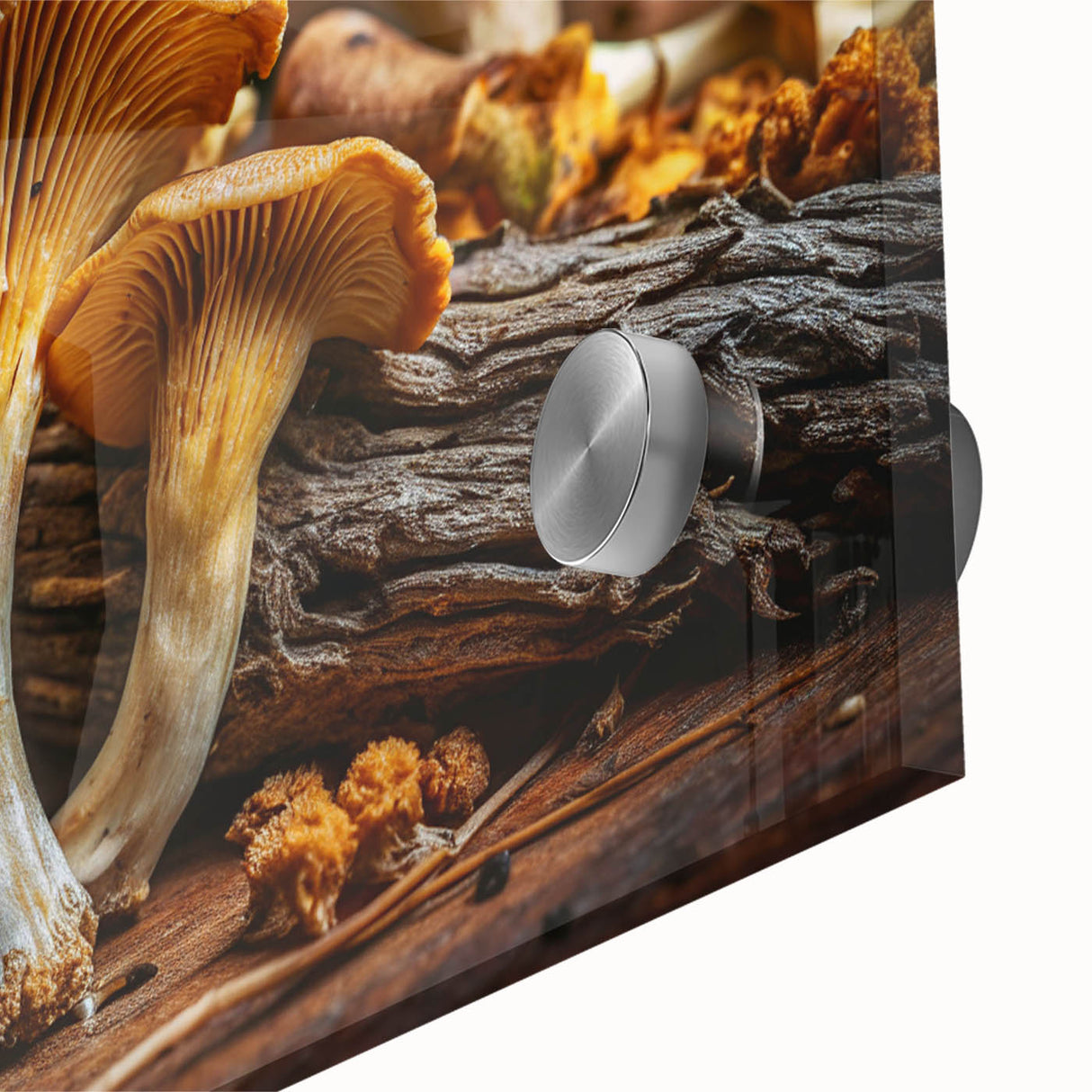 Close-up of a vibrant botanical wall art design featuring colorful flowers and mushrooms on acrylic glass, perfect for home decor and nature enthusiasts.