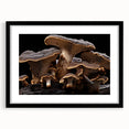 Botanical wall art collection featuring floral and mushroom designs in an elegant black frame with a white mat, showcasing vibrant colors and intricate details, perfect for home decor.