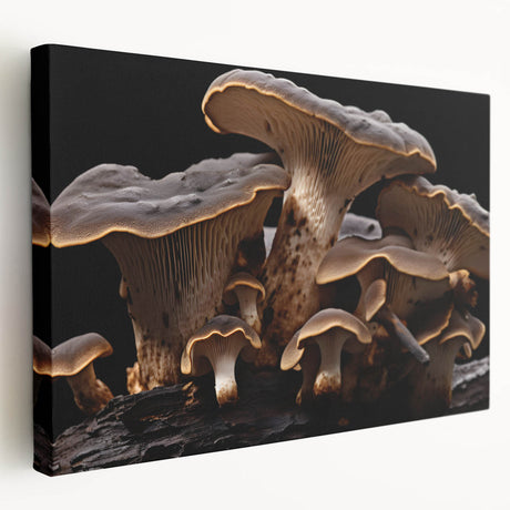 Stretched canvas showcasing a vibrant botanical design with colorful flowers and mushrooms, elegantly framed for modern decor, perfect for nature-inspired interiors.