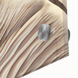 Close-up of a vibrant wall art piece showcasing a botanical design featuring colorful flowers and mushrooms, printed on acrylic glass for a modern aesthetic. This artwork adds a unique touch to any decor, blending nature-inspired elements with contemporary style.