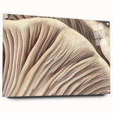 Acrylic glass wall art displaying a botanical design featuring colorful flowers and mushrooms, mounted with pins for easy hanging, showcasing vibrant colors and intricate details.