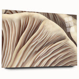 Botanical wall art featuring assorted flowers and mushrooms, displayed in a sleek acrylic frame, showcasing vibrant colors and intricate details, ideal for nature-themed decor.