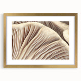 Botanical wall art design featuring vibrant flowers and mushrooms in a gold frame with a mat, perfect for adding a touch of nature-inspired elegance to home decor.