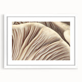 Botanical wall art collection featuring vibrant flowers and mushrooms in a white frame with matting, perfect for home decor and nature-inspired aesthetics.