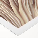 Botanical wall art design showcasing vibrant flowers and mushrooms on rolled canvas, perfect for adding natural beauty to any space. Ideal for home decor enthusiasts.