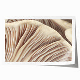 Botanical wall art print featuring an intricate design of colorful flowers and mushrooms, showcasing vibrant colors and detailed illustrations, ideal for home decor.