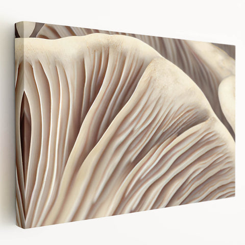 Stretched canvas showcasing a vibrant botanical design featuring colorful flowers and mushrooms, ideal for home decor and nature enthusiasts. Perfect for enhancing living spaces with a touch of artistic flair.