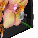 Close-up of a vibrant botanical orchid wall art piece, showcasing intricate floral details in vivid colors, beautifully displayed on acrylic glass. Ideal for modern decor.