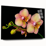 A side view of a botanical orchid wall art piece displayed in an elegant acrylic frame, showcasing vibrant colors and intricate floral details, perfect for home decor.