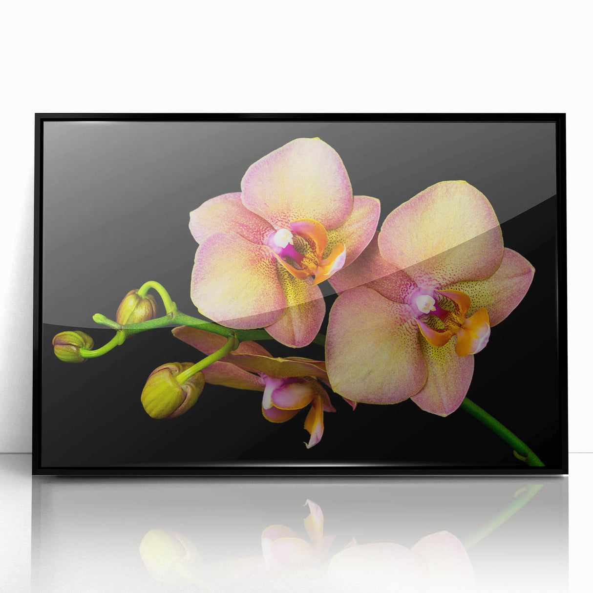 Framed wall art featuring a botanical orchid design, showcasing vibrant colors and intricate details, set in a sleek black frame for modern decor. Ideal for enhancing interior spaces with a touch of nature.