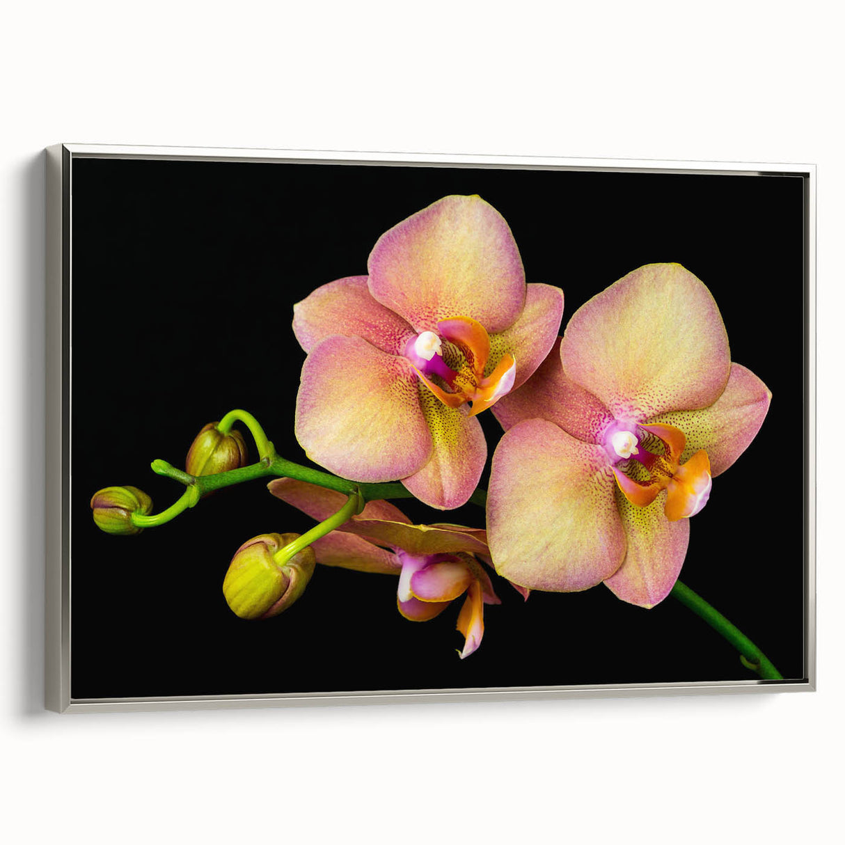 Framed botanical wall art featuring a stunning orchid design on canvas, elegantly displayed with a silver frame, perfect for home decor enhancement.