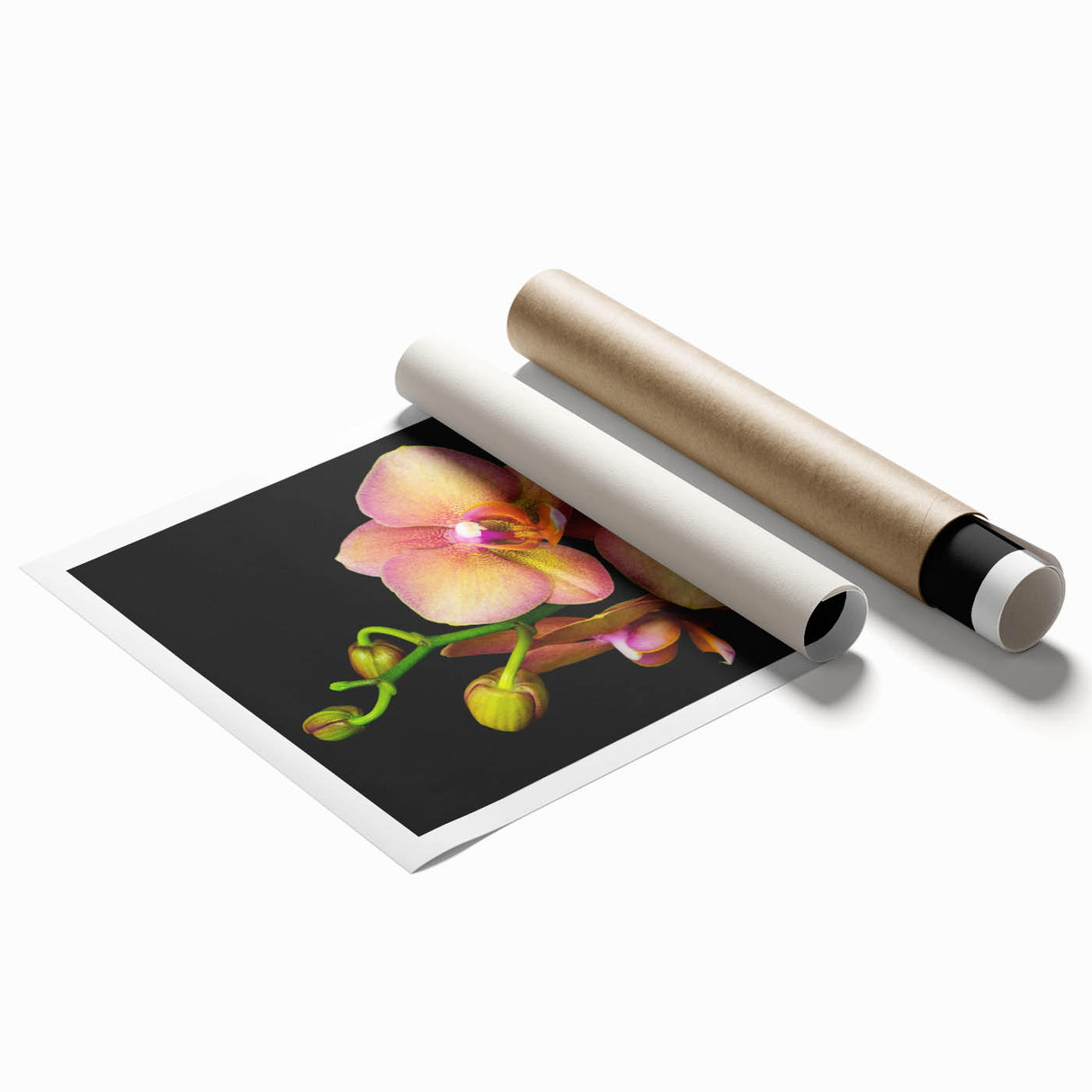 Botanical orchid wall art print showcasing vibrant pink and green hues, beautifully designed for home decor, rolled and packaged in protective cardboard for shipping.