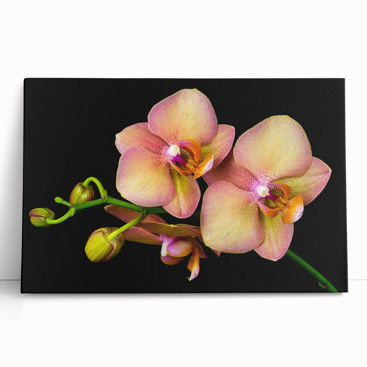 Stretched canvas wall art featuring a vibrant botanical orchid design in rich purples and greens, elegantly leaning against a neutral backdrop, perfect for home decor.