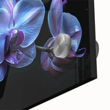 Close-up of a vibrant botanical orchid design wall art piece, showcasing intricate floral details and vivid colors on acrylic glass, perfect for home decor.