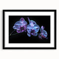 Framed botanical orchid wall art design showcasing vibrant flowers with intricate details, set against a sleek black frame, perfect for home decor enhancement.