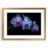 Botanical wall art featuring a stunning orchid design, framed in gold with a mat, showcasing vibrant colors and intricate details, perfect for home decor.