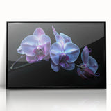 Framed botanical wall art showcasing a vibrant orchid design with rich colors, presented in a sleek black frame, perfect for home decor enhancement.