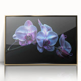 Framed wall art showcasing a botanical orchid design, featuring vibrant colors and a gold-accented frame, perfect for enhancing home decor with elegance.