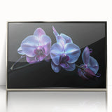 Framed wall art featuring a stunning botanical orchid design, showcasing vibrant colors and intricate details. The silver frame adds elegance, perfect for home decor.