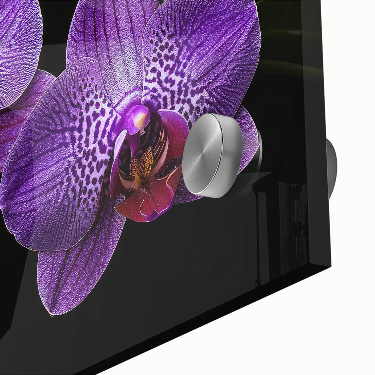 Close-up of a vibrant botanical orchid wall art piece, showcasing intricate floral details on acrylic glass, perfect for modern home decor. The vivid colors and delicate textures enhance any living space, making it an eye-catching focal point.