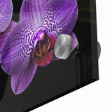 Close-up of a vibrant botanical orchid wall art piece, showcasing intricate floral details on acrylic glass, perfect for modern home decor. The vivid colors and delicate textures enhance any living space, making it an eye-catching focal point.