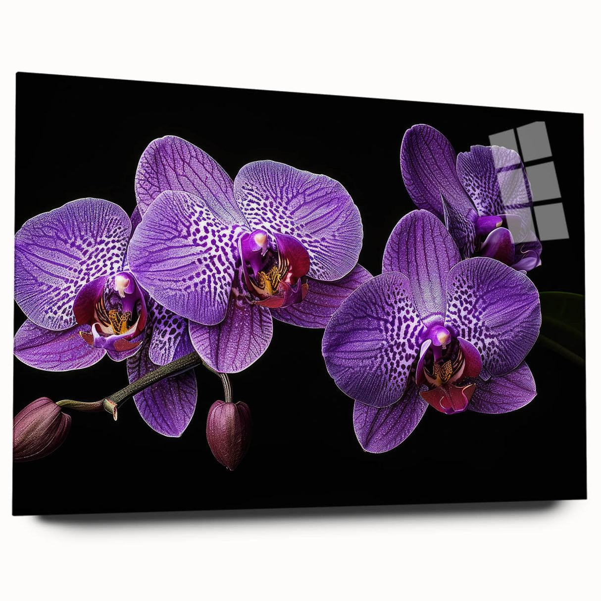 Botanical orchid wall art design displayed in a sleek acrylic frame, showcasing vibrant colors and intricate floral details, perfect for modern home decor accents.